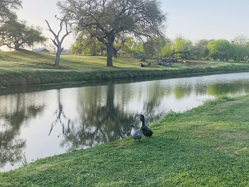 Eagle View Apartments, 830 Stadium Dr, Pleasanton, TX RentCafe